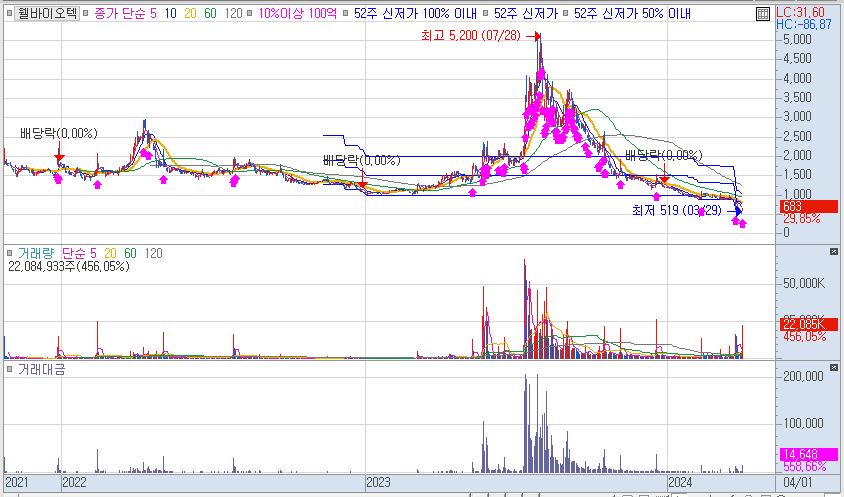24.04.01 웰바이오텍 차트